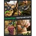 Rolgno Bypass Gartenschere mit 2026 Verbesserte 0,5s-Einhand-Entriegelung SK5-Stahlklinge Robuste Rosenschere, Kraftsparende Baumschere, PTFE-Beschichtung, Ergonomischer Griff, bis 20mm Schnittstärke Rolgno Bypass Gartenschere mit 2026 Verbesserte 0,5s-Einhand-Entriegelung SK5-Stahlklinge Robuste Rosenschere, Kraftsparende Baumschere, PTFE-Beschichtung, Ergonomischer Griff, bis 20mm Schnittstärke
